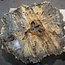 Buckeye Burl table top, approx. 1330(1470) x 1240(1400) x 52 mm, 13052