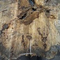 Buckeye Burl table top, approx. 1300(1390) x 1200(1340) x 52 mm, 13053