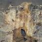 Buckeye Burl table top, approx. 1300(1390) x 1200(1340) x 52 mm, 13053