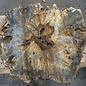 Buckeye Burl table top, approx. 1300(1390) x 1200(1340) x 52 mm, 13053