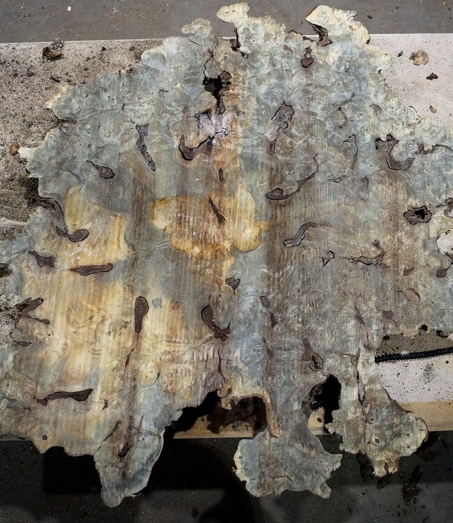 Buckeye Maser Tischplatte, ca. 880(1080) x 820(1150) x 60 mm, 13058