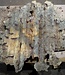 Buckeye Burl table top, approx. 880(1080) x 820(1150) x 60 mm, 13058