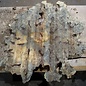 Buckeye Burl table top, approx. 880(1080) x 820(1150) x 60 mm, 13058