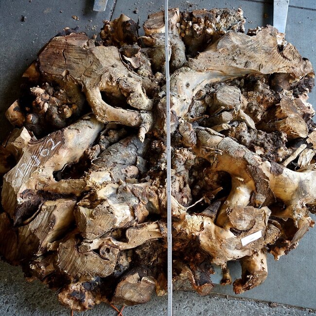 Buckeye Maser Tischsockel, ca. 1700 x 1600 x 140-220 mm, 13062