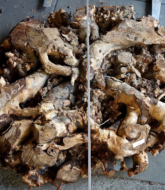 Buckeye Maser Tischsockel, ca. 1700 x 1600 x 140-220 mm, 13062