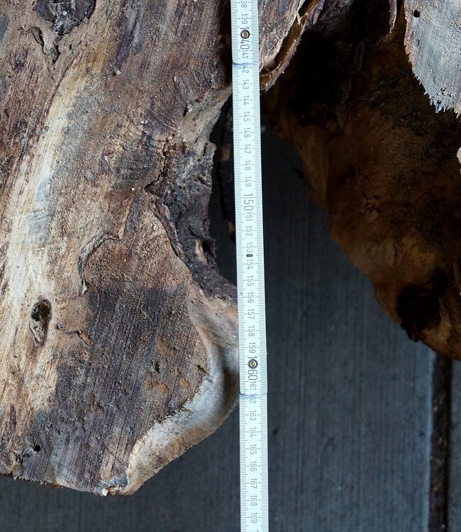 Buckeye Maser Tischsockel, ca. 1700 x 1600 x 140-220 mm, 13062