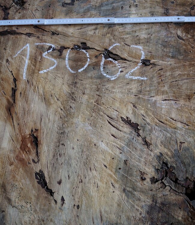 Buckeye Maser Tischsockel, ca. 1700 x 1600 x 140-220 mm, 13062