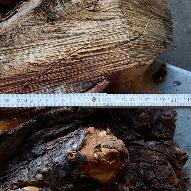 Buckeye Maser Tischsockel, ca. 1300 x 1200 x 150 mm, 13061