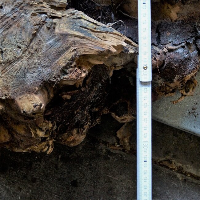 Buckeye Maser Tischsockel, ca. 1300 x 1200 x 150 mm, 13061