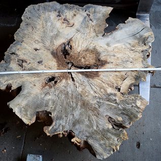 Buckeye Burl table base, approx. 1300 x 1200 x 150 mm, 13061