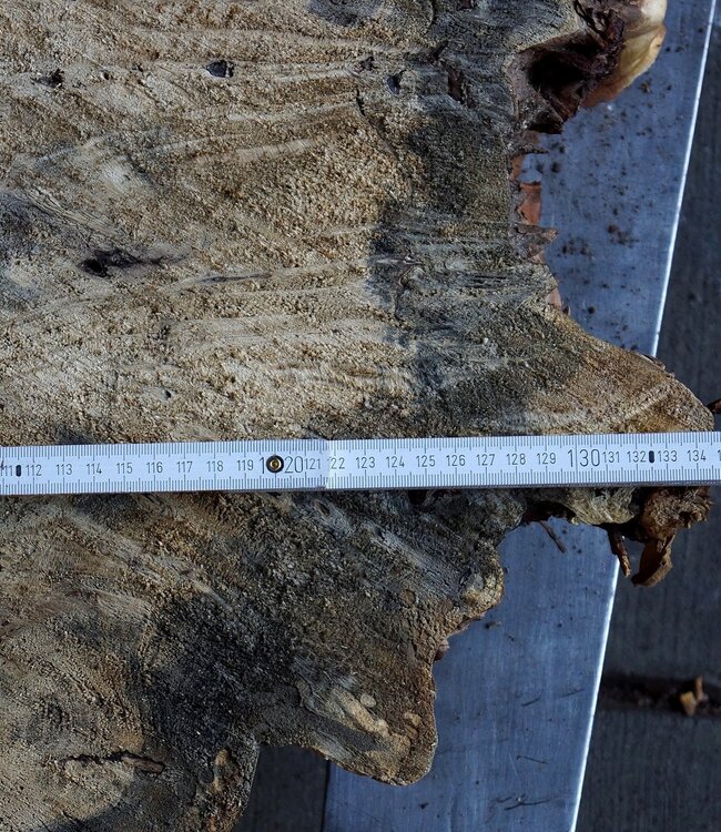 Buckeye Maser Tischsockel, ca. 1300 x 1200 x 150 mm, 13061