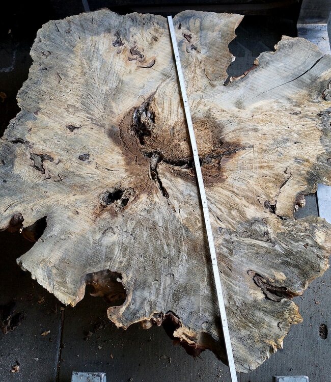 Buckeye Burl table base, approx. 1300 x 1200 x 150 mm, 13061