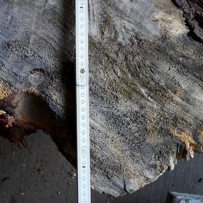 Buckeye Maser Tischsockel, ca. 1300 x 1200 x 150 mm, 13061