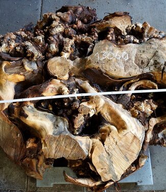 Buckeye Burl table base, approx. 1600 x 1500 x 250 mm, 13060