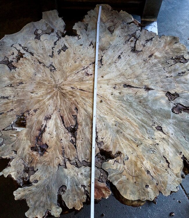 Buckeye Maser Tischsockel, ca. 1600 x 1500 x 250 mm, 13060