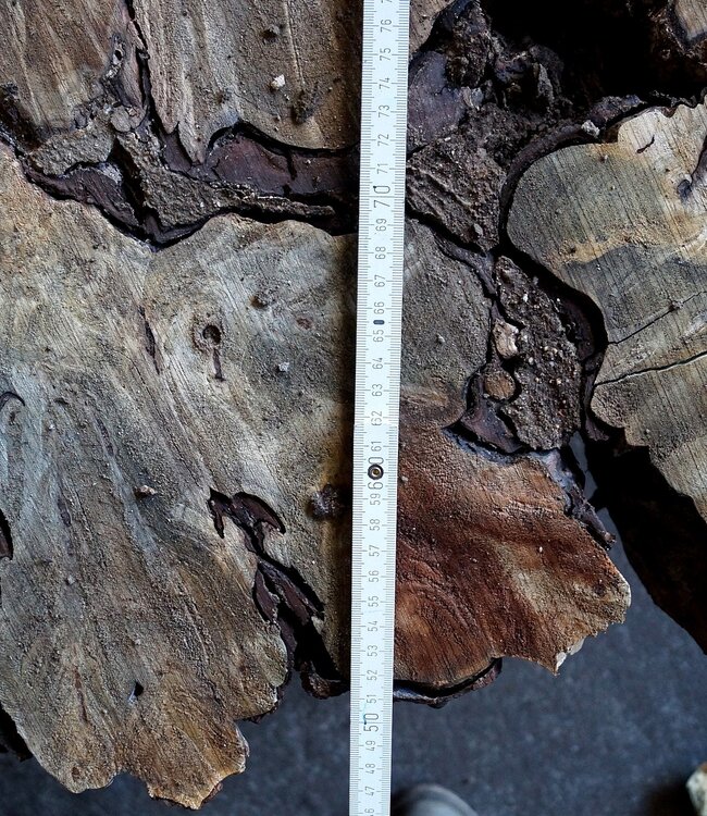 Buckeye Maser Tischsockel, ca. 1600 x 1500 x 250 mm, 13060