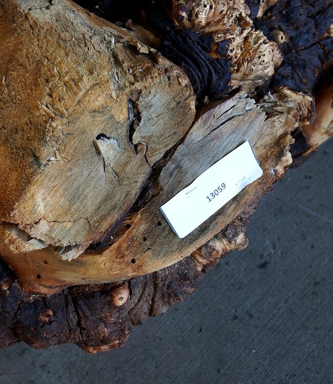 Buckeye Burl table base, approx. 1300 x 1000 x 250 mm, 13059