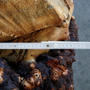 Buckeye Burl table base, approx. 1300 x 1000 x 250 mm, 13059