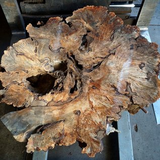 Buckeye Burl table base, approx. 1300 x 1000 x 250 mm, 13059