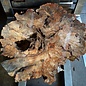 Buckeye Burl table base, approx. 1300 x 1000 x 250 mm, 13059