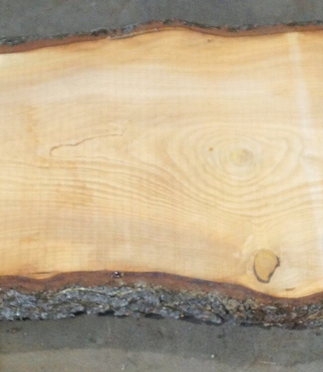 Libanon Zeder Tischplatte, ca. 3900 x 810 x 65 mm, 13064