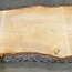 Libanon Zeder Tresenplatte, ca. 3900 x 810 x 65 mm, 13064