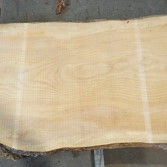 Libanon Zeder Tresenplatte, ca. 3900 x 810 x 65 mm, 13064