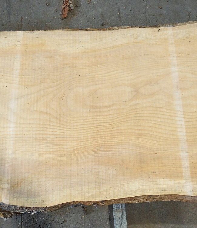 Libanon Zeder Tischplatte, ca. 3900 x 810 x 65 mm, 13064