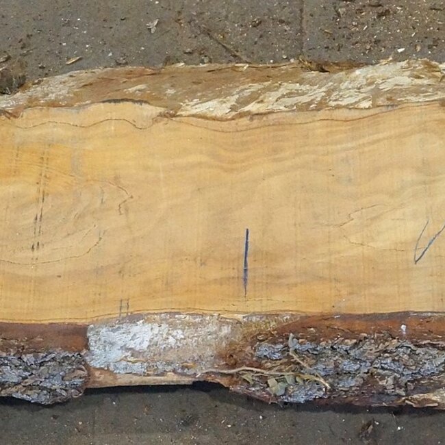 Lebanon Cedar Table top, approx. 2900(3900) x 460 x 65 mm, 13076