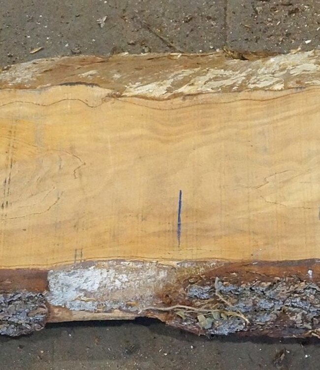 Lebanon Cedar Table top, approx. 2900(3900) x 460 x 65 mm, 13076
