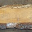 Lebanon Cedar Table top, approx. 2900(3900) x 460 x 65 mm, 13076