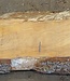 Lebanon Cedar Table top, approx. 2900(3900) x 460 x 65 mm, 13076