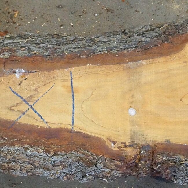 Lebanon Cedar Table top, approx. 2900(3900) x 460 x 65 mm, 13076