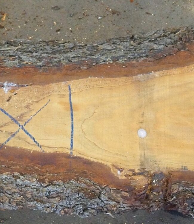 Lebanon Cedar Table top, approx. 2900(3900) x 460 x 65 mm, 13076