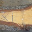 Lebanon Cedar Table top, approx. 2900(3900) x 460 x 65 mm, 13076