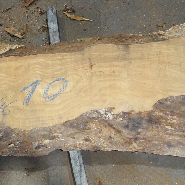 Lebanon Cedar Table top, approx. 2900(3900) x 460 x 65 mm, 13076