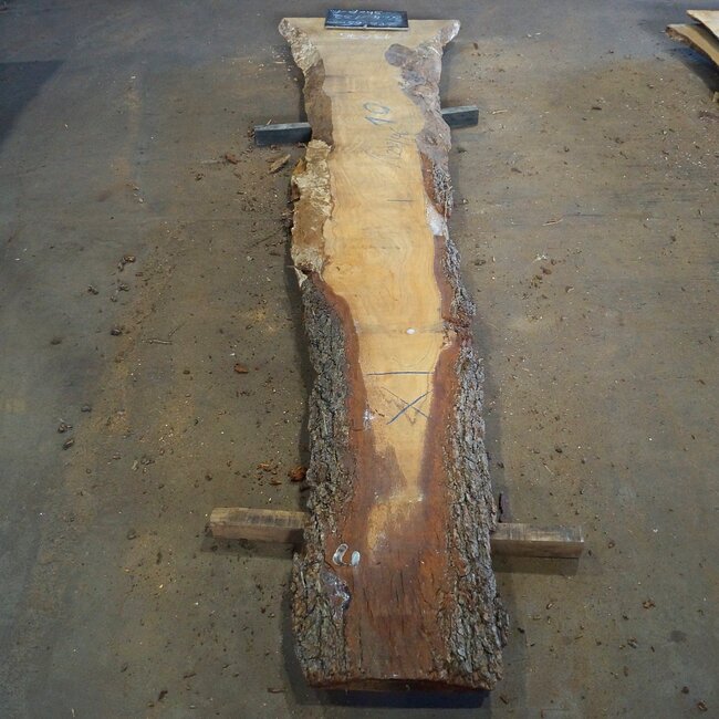 Lebanon Cedar Table top, approx. 2900(3900) x 460 x 65 mm, 13076