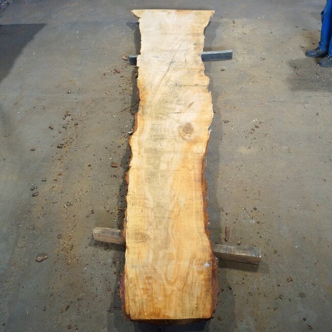 Lebanon Cedar Table top, approx. 2900(3900) x 460 x 65 mm, 13076