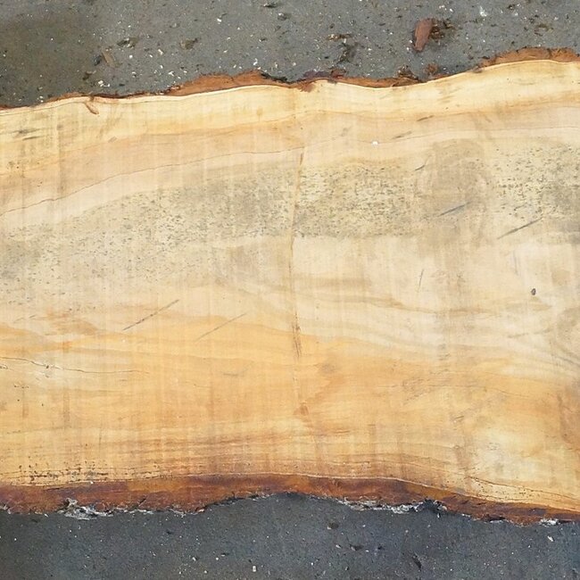 Lebanon Cedar Table top, approx. 2900(3900) x 460 x 65 mm, 13076