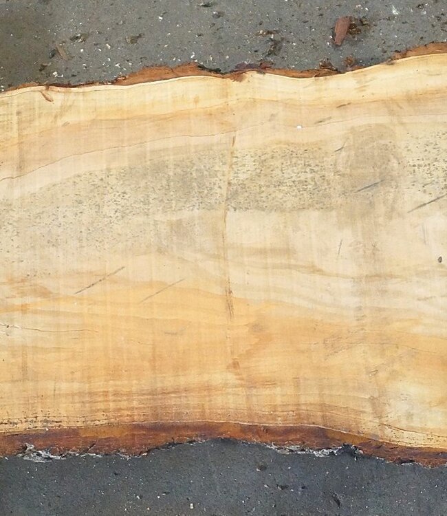 Libanon Zeder Tischplatte, ca. 2900(3900) x 460 x 65 mm, 13076