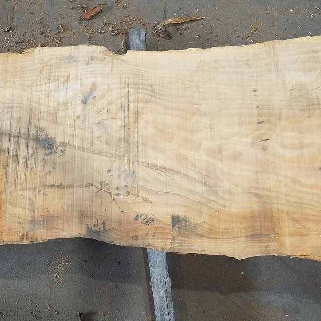 Lebanon Cedar Table top, approx. 2900(3900) x 460 x 65 mm, 13076