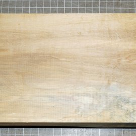 Horse-Chestnut, approx. 285 x 135 x 50mm, 1,0 kg