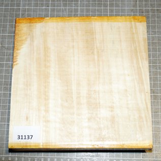 Horse-Chestnut, approx. 200 x 195 x 50mm, 1,3 kg