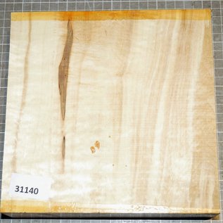 Horse-Chestnut, approx. 200 x  200 x 51mm, 1,3 kg