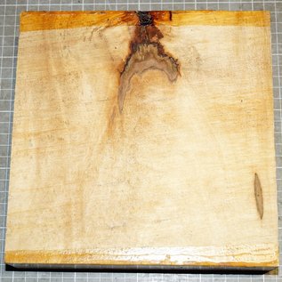 Horse-Chestnut, approx. 200 x  200 x 51mm, 1,3 kg