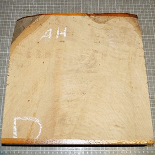 Bergahorn, ca. 320 x 320 x 55mm, 3,6 kg