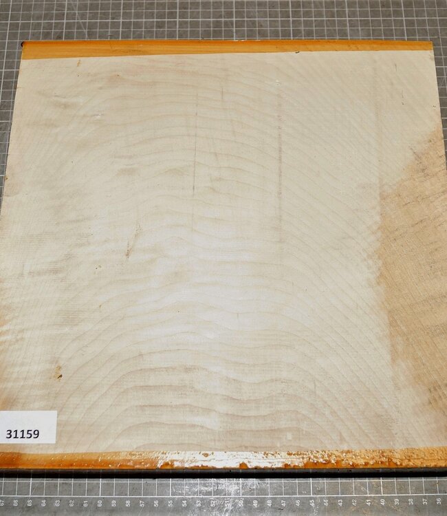 Bergahorn, ca. 320 x 320 x 55mm, 3,6 kg