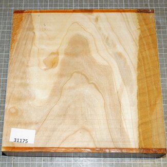 Kirschbaum, europ., ca. 250 x 250 x 50mm, 2,3 kg