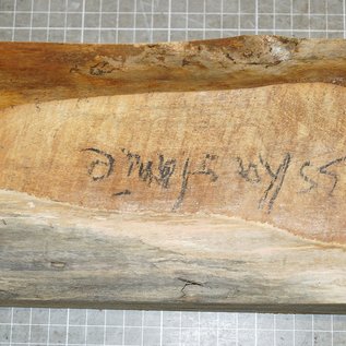 Rosskastanie, ca. 285 x 135 x 50mm, 1,0 kg