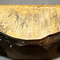 Rosskastanie, ca. 285 x 135 x 50mm, 1,0 kg